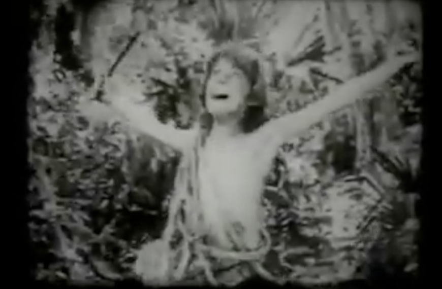 Upload Your Tarzan Yell